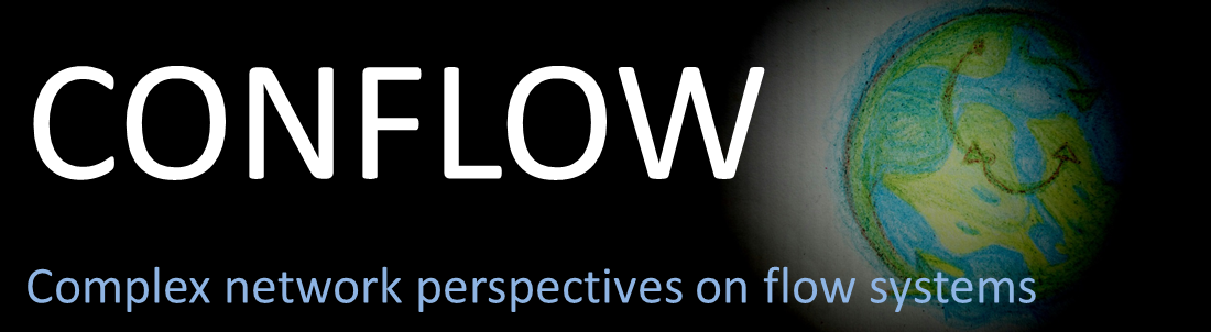 Complex network perspectives on flow systems 2015